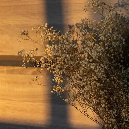 דירה Lieblingsquartier St Andreasberg 8 *