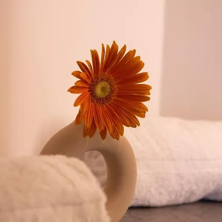 Lieblingsquartier St Andreasberg 8 דירה זנקט אנדריאסברג