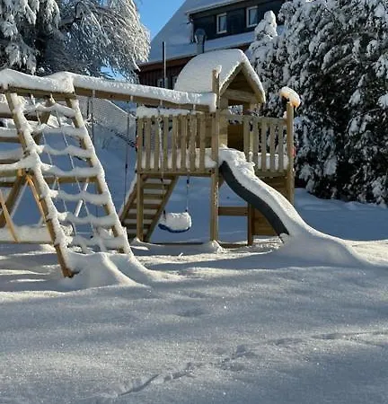 דירה Lieblingsquartier St Andreasberg 8 זנקט אנדריאסברג