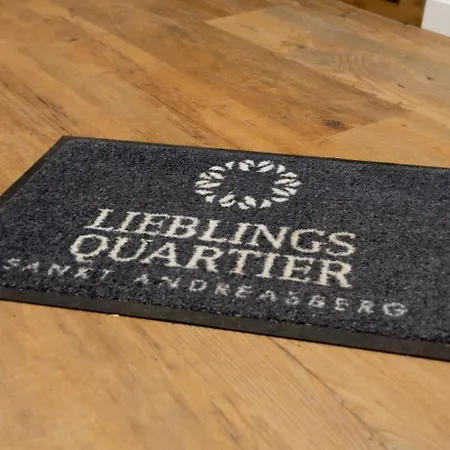 Lieblingsquartier St Andreasberg 8 דירה זנקט אנדריאסברג