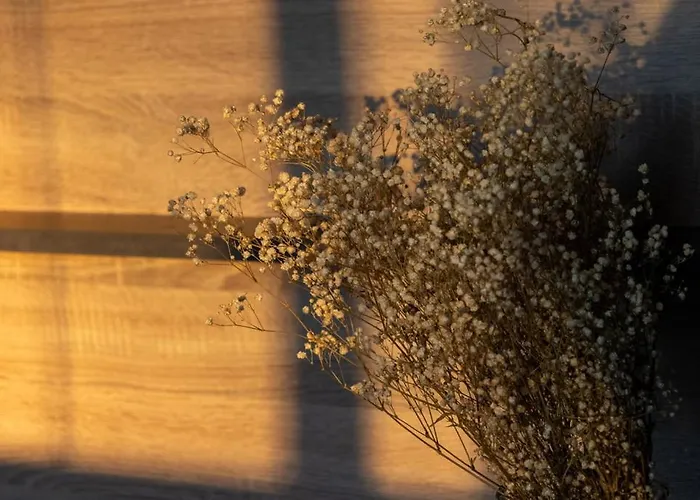 公寓 Lieblingsquartier St Andreasberg 8 *