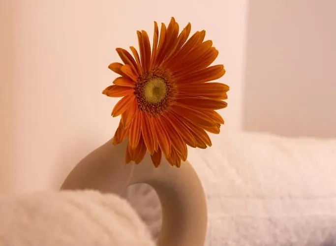 Lieblingsquartier St Andreasberg 8 公寓 圣安德里斯伯格