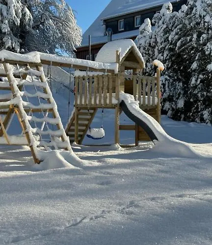 公寓 Lieblingsquartier St Andreasberg 8 圣安德里斯伯格