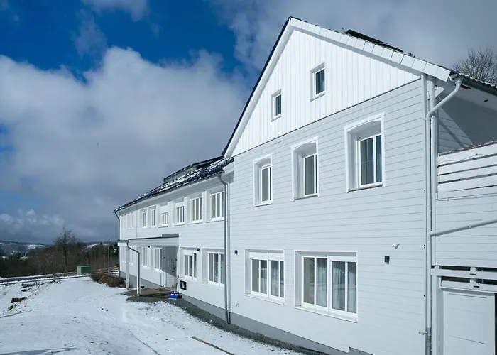 Lieblingsquartier St Andreasberg 8 公寓