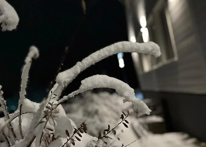 Lieblingsquartier St Andreasberg 8 公寓 *